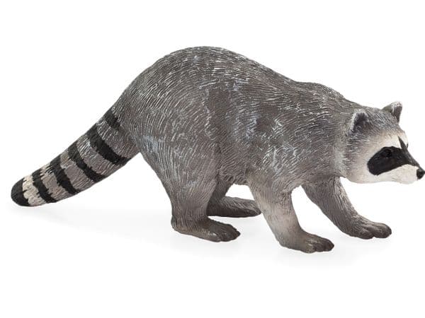 Mojo Raccoon