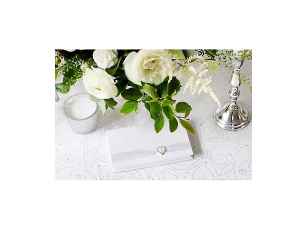 Vit organza med silver