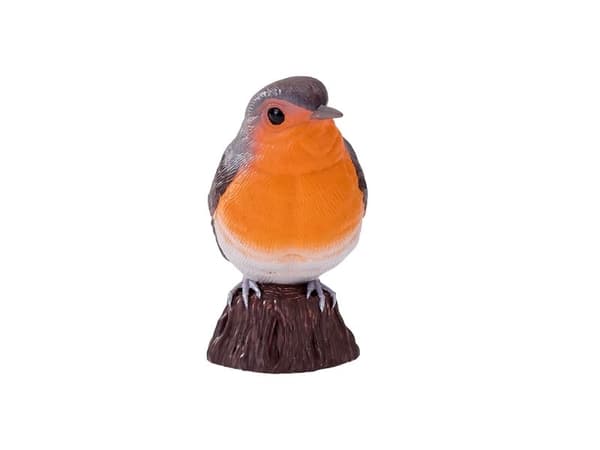 Robin