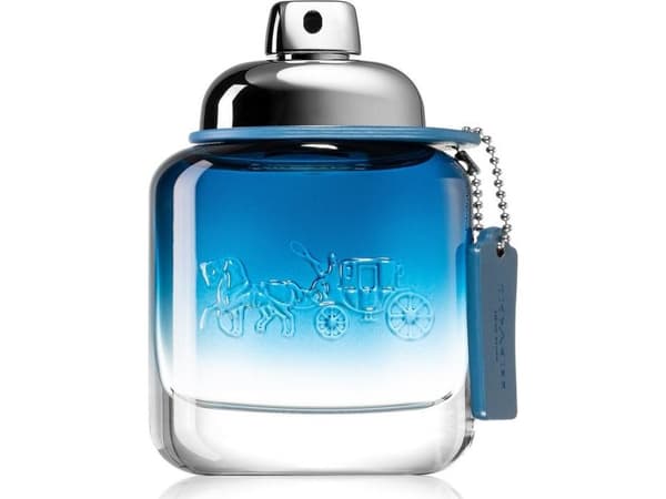 Coach Blue for Men Eau De Parfum spray 100 ml
