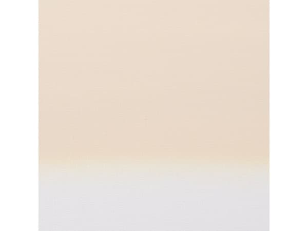 Artequipment Amsterdam sprayfärg Titanium Buff Light 289