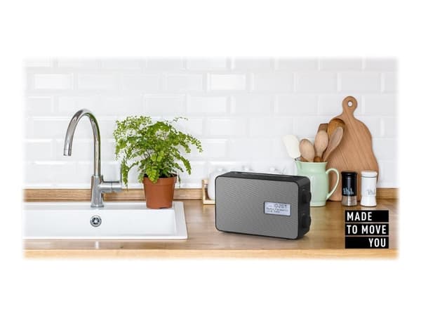 Panasonic-RF-D30BT - DAB bærbar radio - 2 Watt - sort