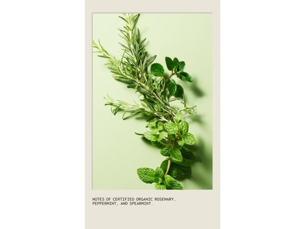 Aveda Rosemary Mint hårschampo 50 ml