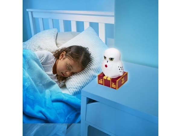 Hedwig GoGlow Buddy bedside Night Light and Torch
