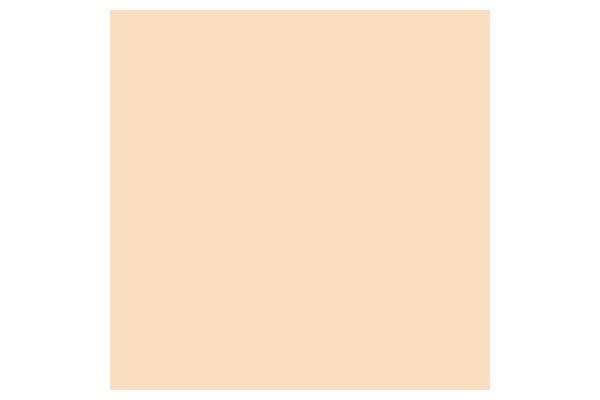 Promarker Blush O729
