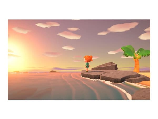 Animal Crossing: New Horizons Nintendo Switch