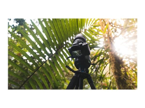 SYRP Genie II