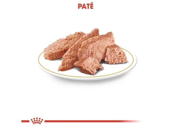 Royal Canin Poodle Adult Loaf vådfoder til hund - 12x85 g