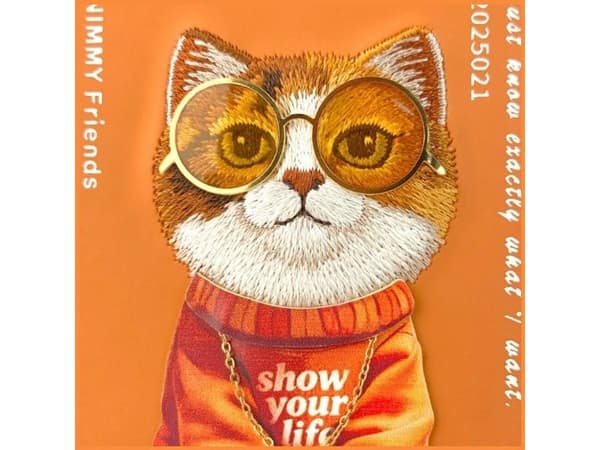 Nimmy Cool Cat kotelo iPhone 17 Pro Maxille oranssi