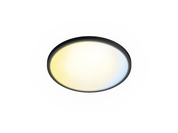 Philips Valen loftlampe 22 W