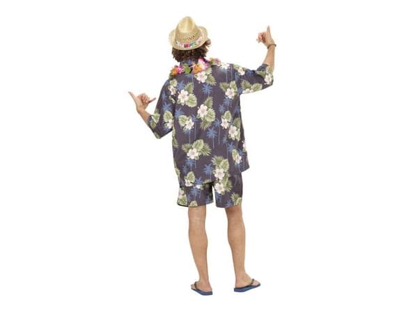 Hawaii skjorte og shorts