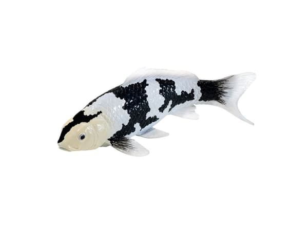 Koi karpe - Shiro Utsuri Koi (svart hvit)