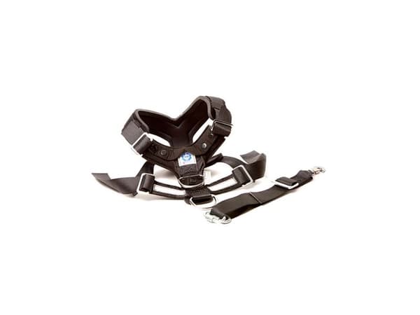 Hundesele MIMsafe Allsafe - Large