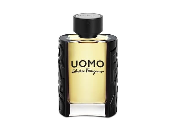 Salvatore Ferragamo Uomo 100 ml, Mænd,
