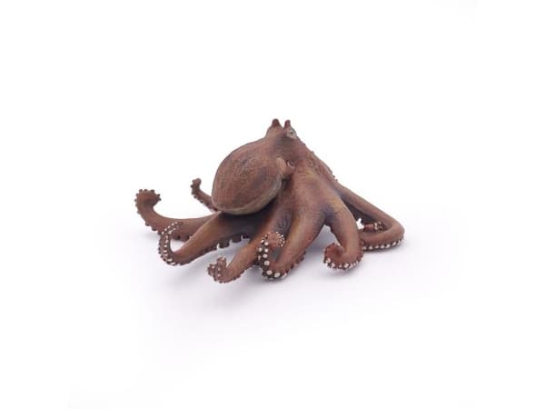 Papo Octopus, 3 år, Marine life, Brun, PVC