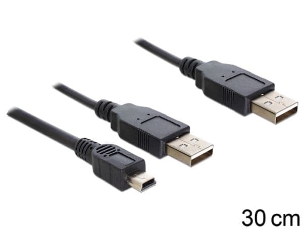 Delock - USB-kabel - USB (hane) till USB, mini-USB typ A (hane) - 30 cm