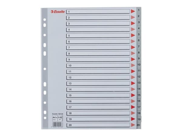 Register Esselte PP A4 Maxi 1-20 grå - (10 stk.)