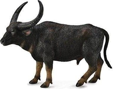 INDIAN BUFFALO (L)