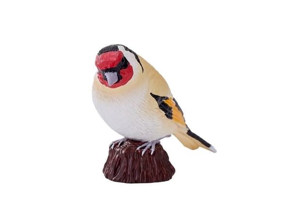 European Goldfinch