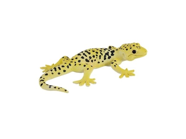 Mojo Leopard gekko