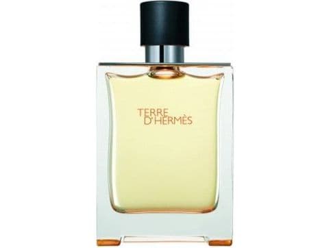 Hermes Terre D'Hermes Eau De Toilette Spray 100ml