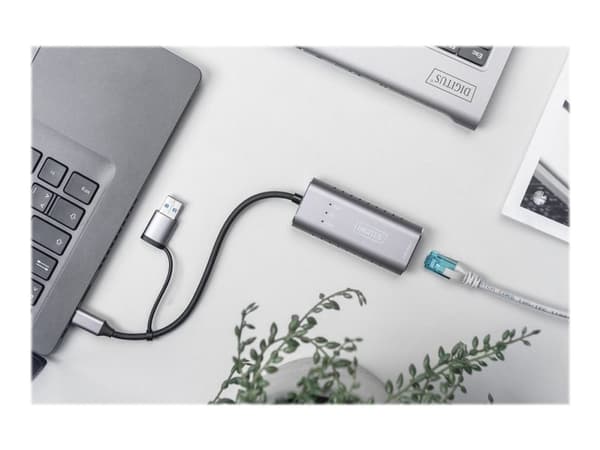 DIGITUS DN-3028 - Nätverksadapter - USB-C / USB-A - 2.5GBase-T - grå