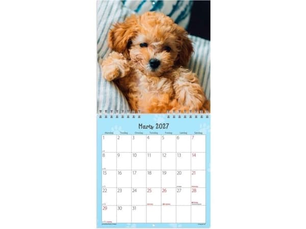Väggkalender mini Hundvalpar 2027