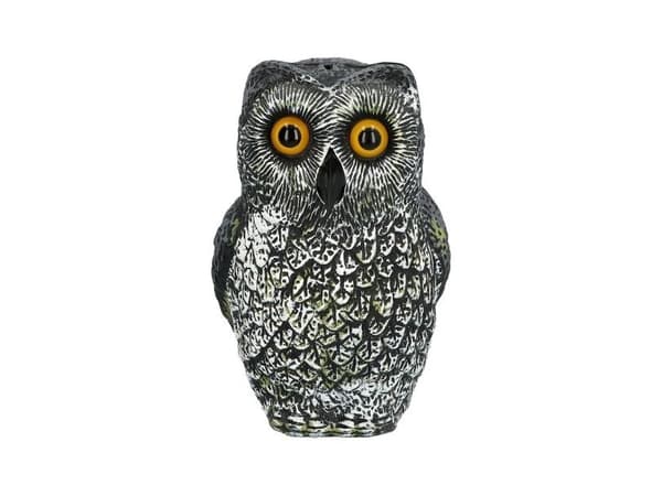 Uggla, 23 cm