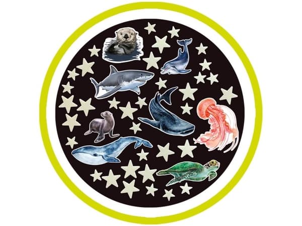 Brainstorm Glow Stars & Sea Creatures