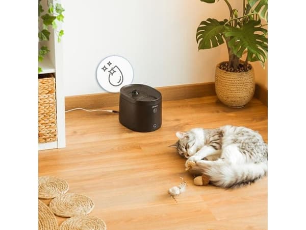 Cecotec Cecotec automatisk fontän Pumba 2200 Refresh (9561)