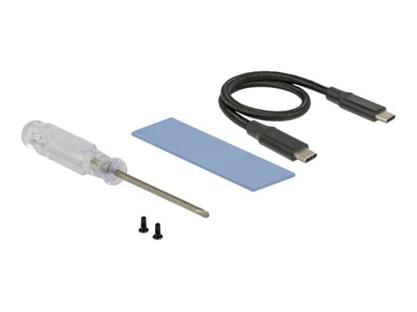 Delock - Lagringspakning - M.2 Kort - USB 3.1 (Gen 2) - sort