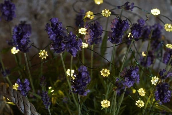 Sirius Silke Lyskæde Mini Blomster - 40 LED - Klar/Grøn