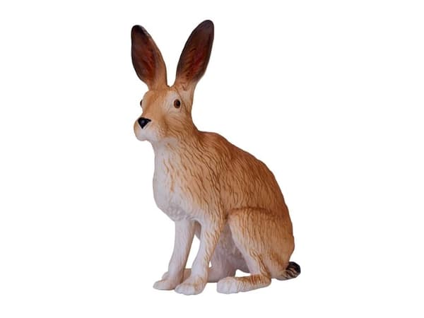 Mojo Hare, sittande