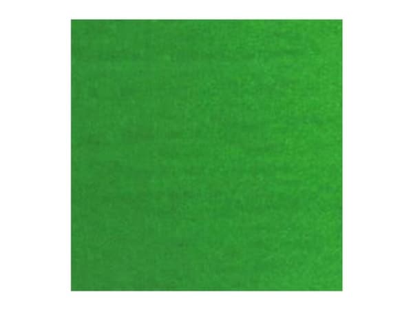 Van Gogh oljemaling rør Permanent Green Medium 614