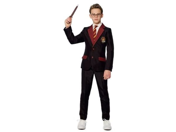 Suitmeister Harry Potter