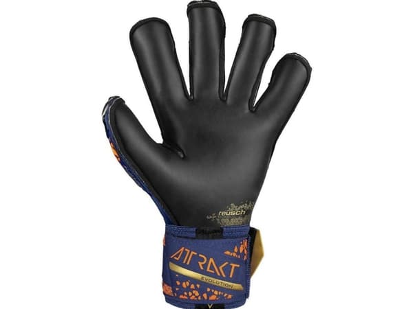 Reusch Attrakt Gold X Evolution