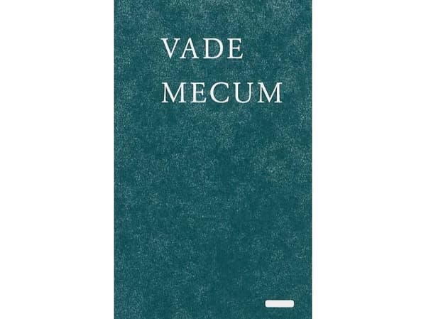 Vade Mecum | Peter Meedom | Språk: Dansk