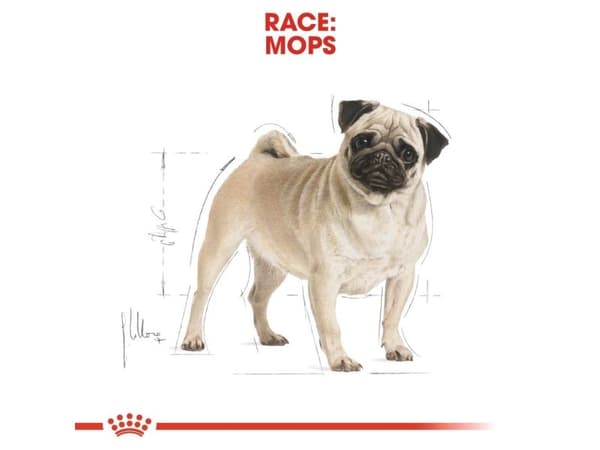 Royal Canin Pug Adult torrfoder för hundar – 7,5 kg