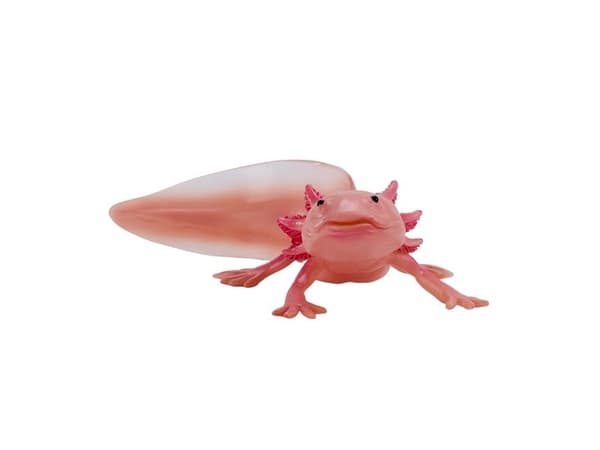 Axolotl