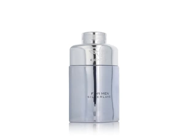 Bentley Silverlake EDP M 100 ml