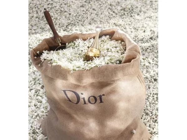 Dior J'Adore Eau De Parfum Roller-Pearl 20ml