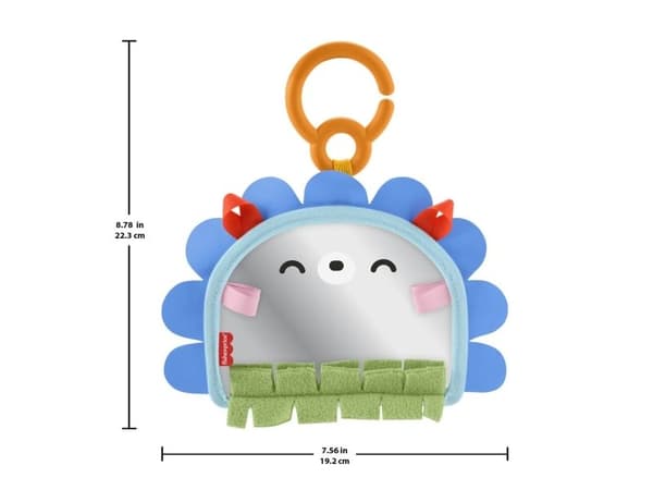 Fisher-Price Balanced Beginnings 2-in-1 Mirror