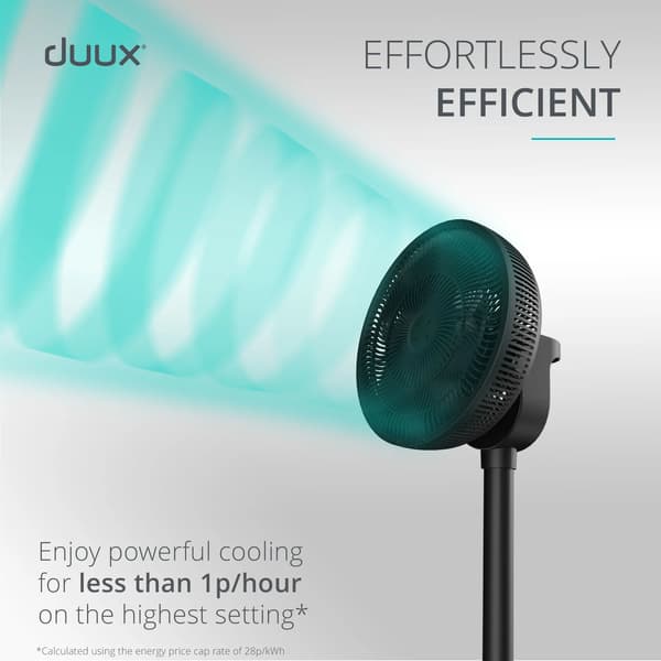 Duux Whisper Flex 2 Smart Black