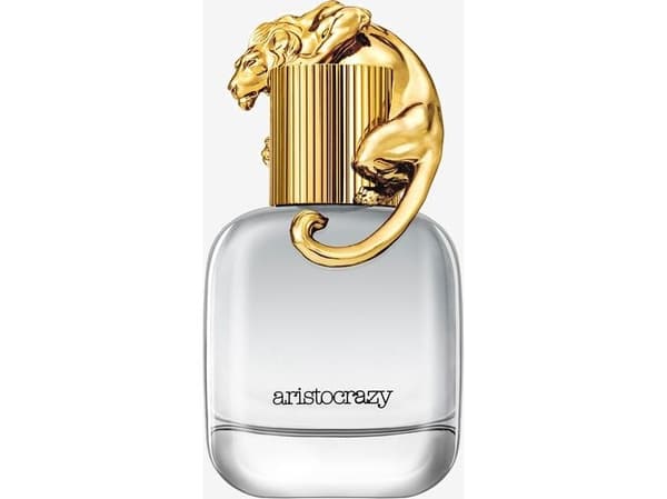 Aristocrazy Brave EDT 80 ml