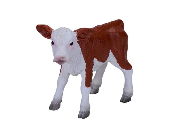 Mojo Hereford kalv