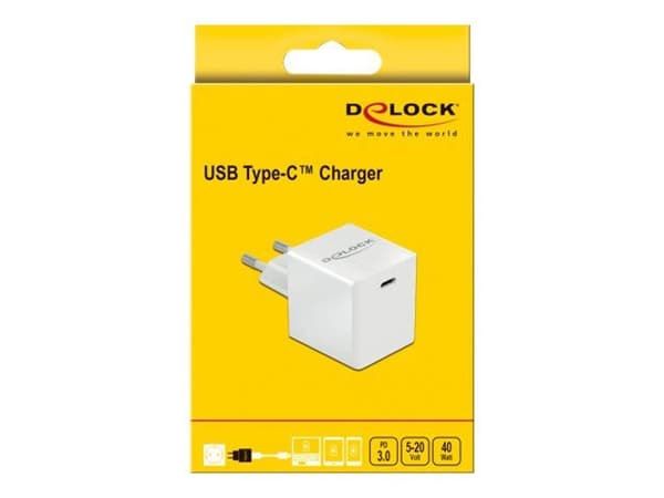 Delock - Strømadapter - 40 watt - 3 A - PD 3.0 (USB-C) - hvit