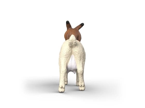 Schleich geitebukk
