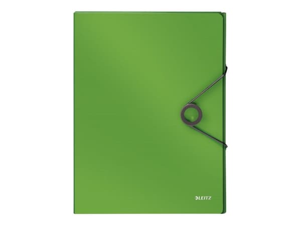 Leitz Solid - Boxfil - ryggbredd: 30 mm - för A4 (210 x 297 mm) - kapacitet: 250 ark - grön