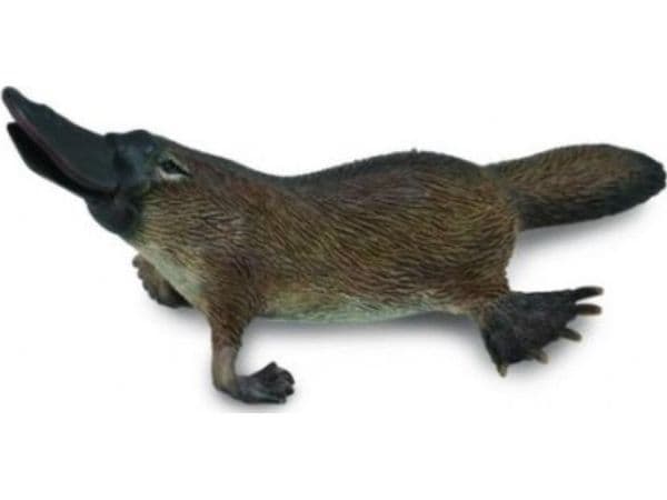 Collecta figur Dziobak australsk (M)