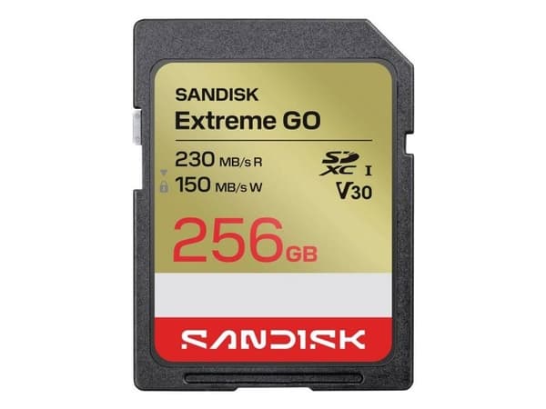 SANDISK SD Extreme GO 256GB